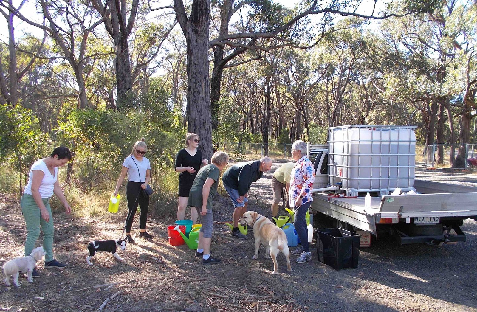 Volunteers caring for the sensory trail